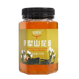 金陵花伊犁山花蜜(常力)