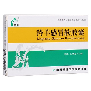 羚羊感冒软胶囊